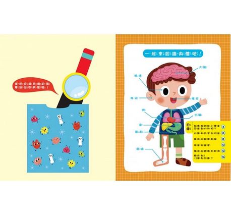 探照燈找一找：透視身體大解密